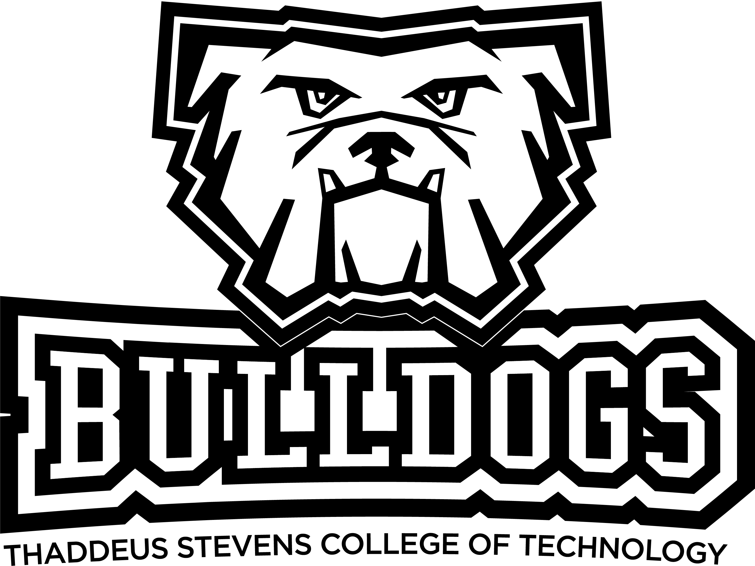 Branding Guide | Thaddeus Stevens College